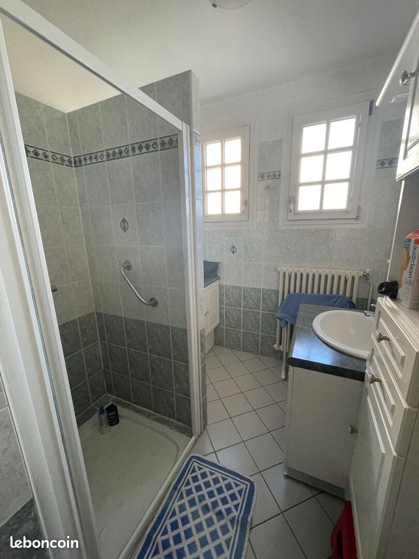 Pavillon 6 pièces 160 m² - Buxerolles 86180 (image principale 12)