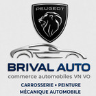 Logo du professionnel