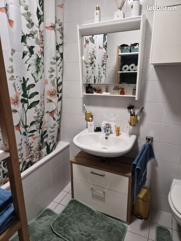 Loue appartement pour une fille non fumeuse 2 semaines (image 3)