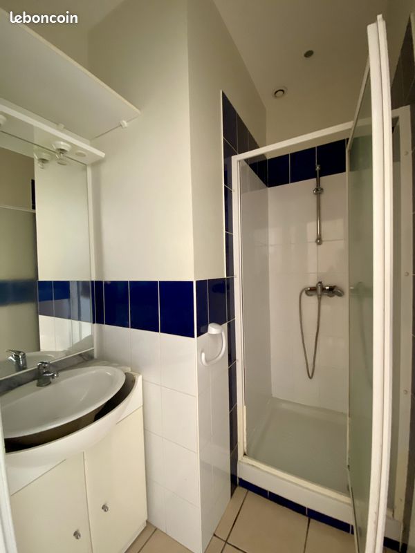 Maison de ville 1 pièce 27 m² - Villeneuve-sur-Lot 47300 (image principale 5)