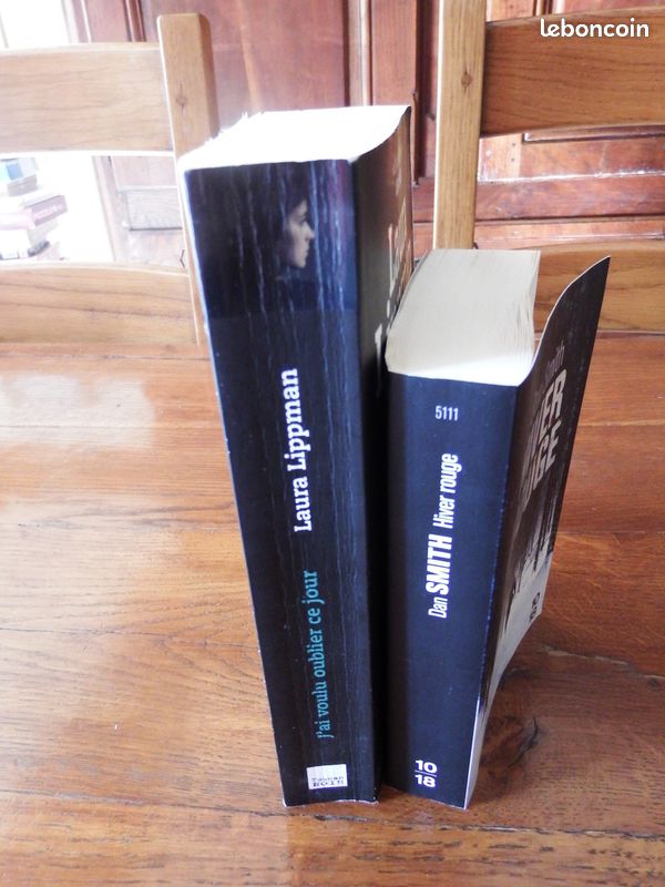 2 LIVRES "Hiver rouge" Dan SMITH et "J'ai voulu oublier ce jour" Laura LIPPMAN (image 3)
