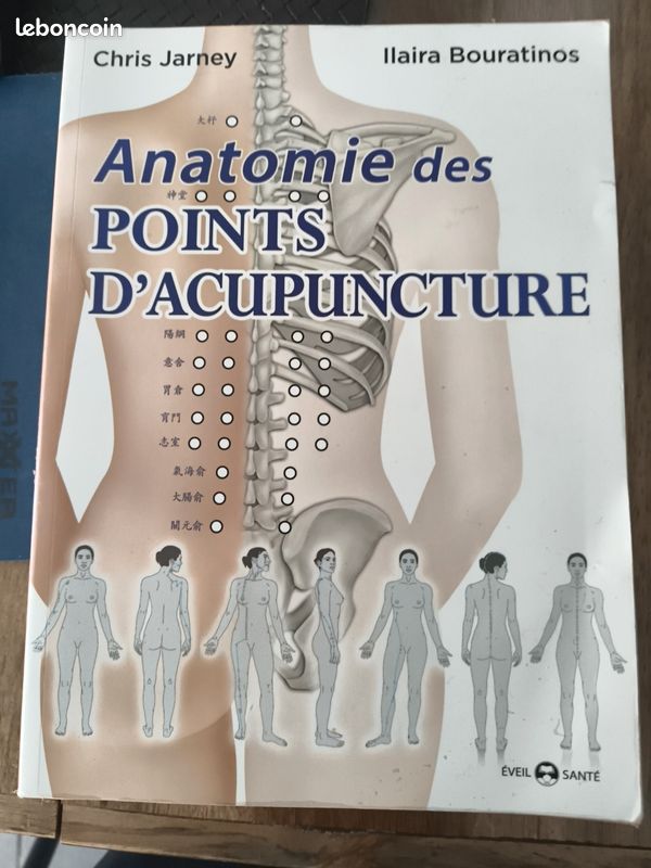 Analogies entre les points d'acupuncture et l'empire chinois