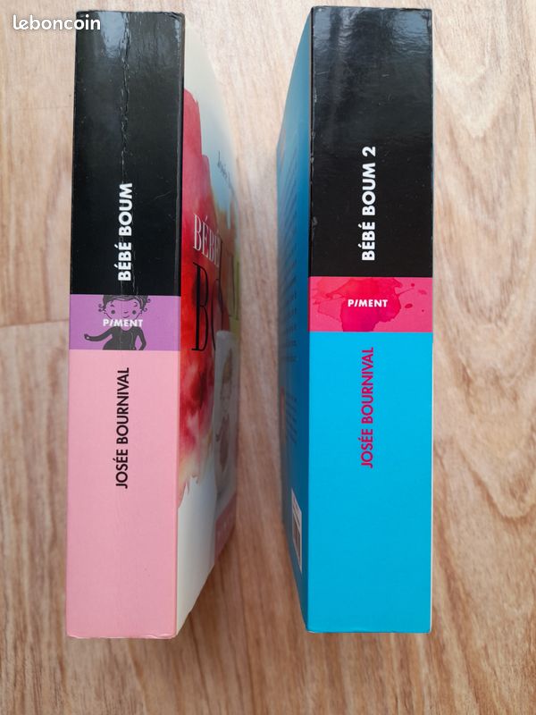 Lot 2 livres Josée Bournival (image 2)