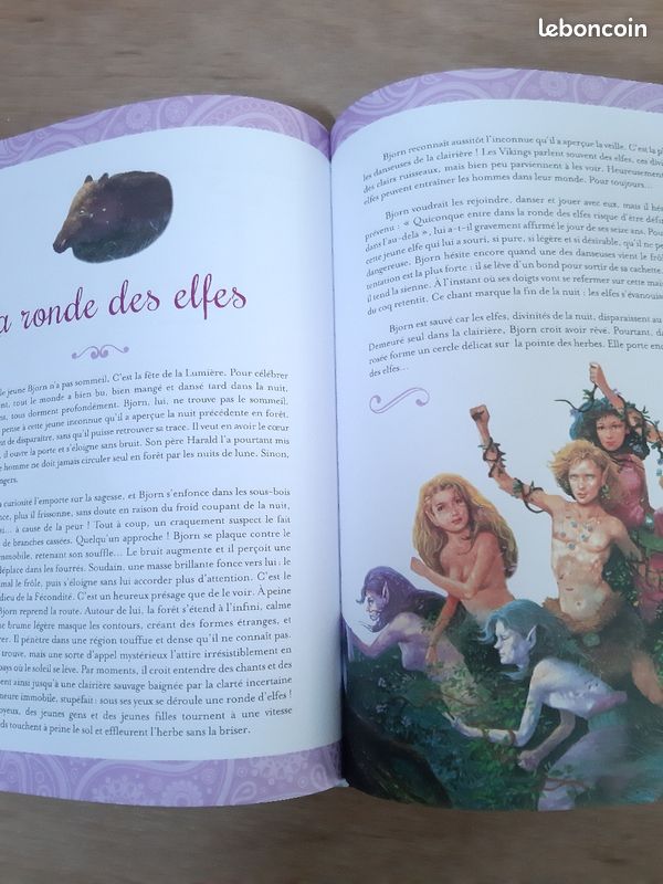Le super livre des filles (image 6)