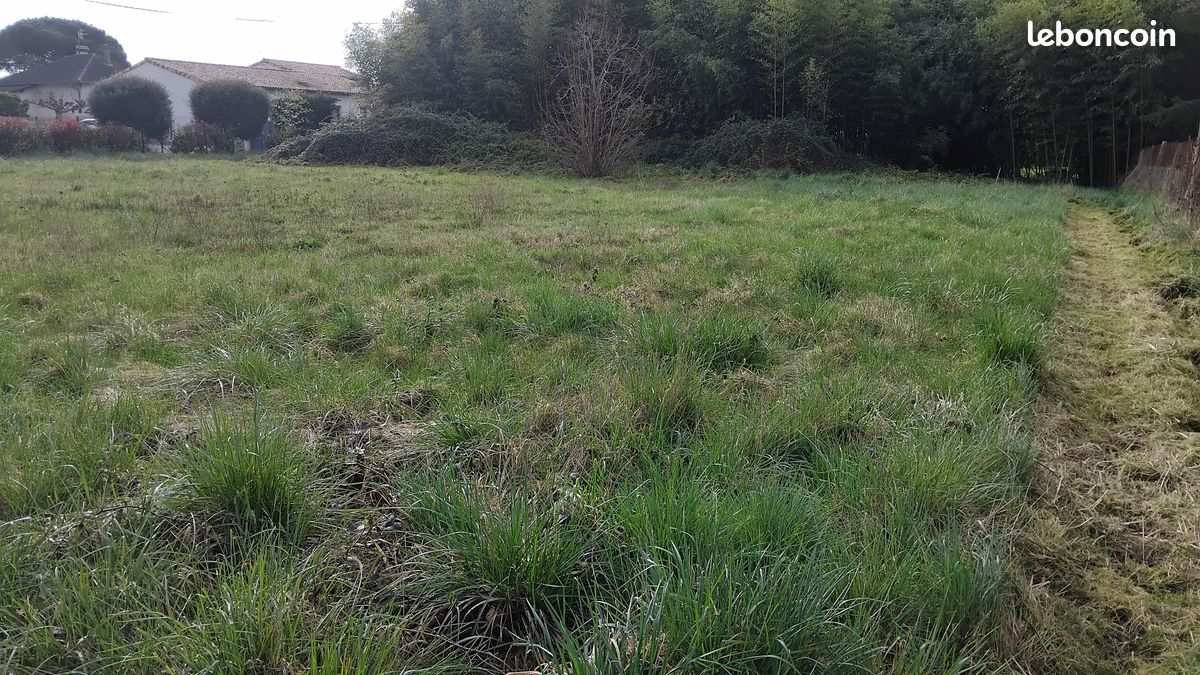 Terrain constructible · à Albias · 75 000 €