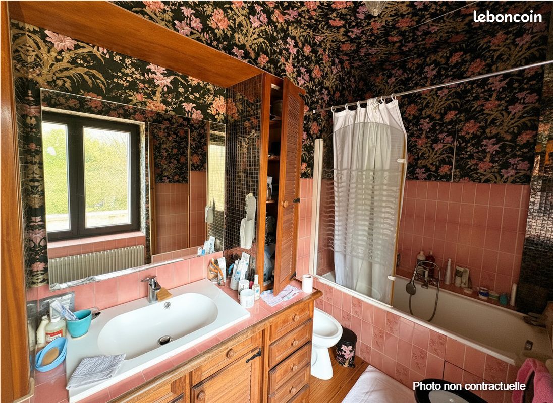 Maison 14 pièces 600 m² (image 4)