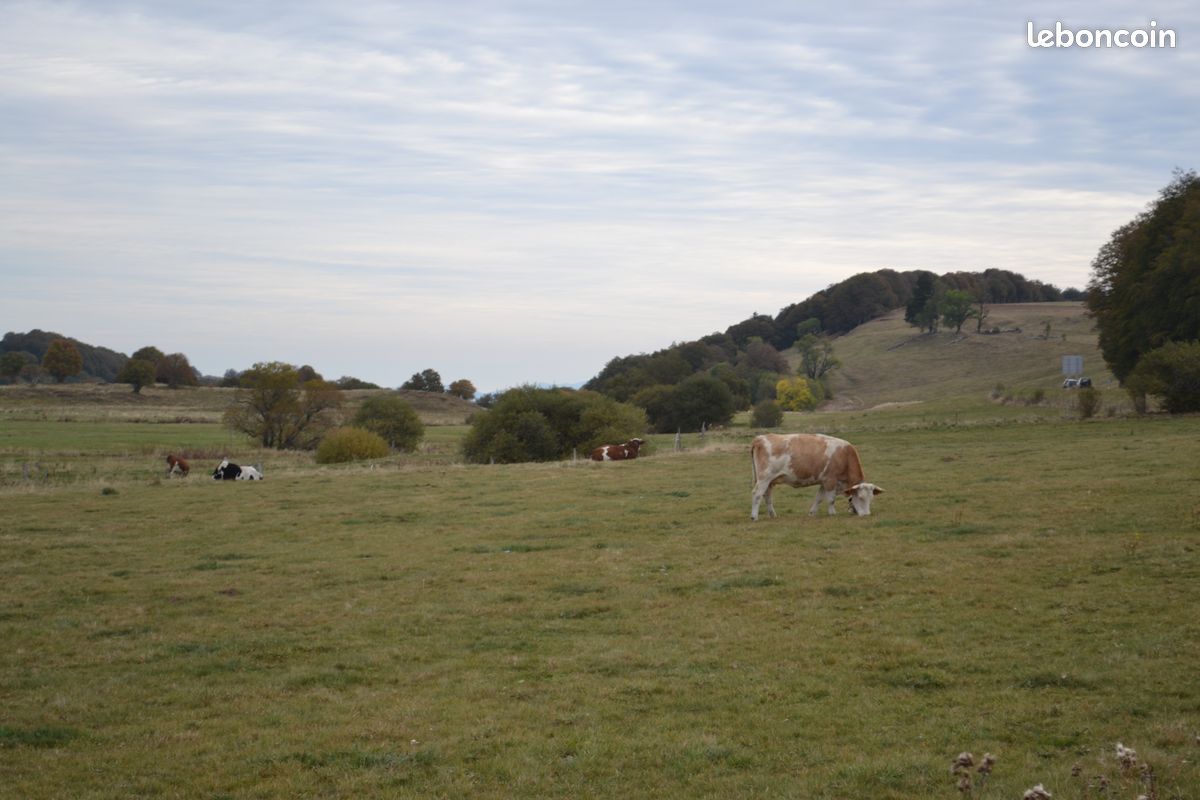 Location de chalet super besse (image 18)