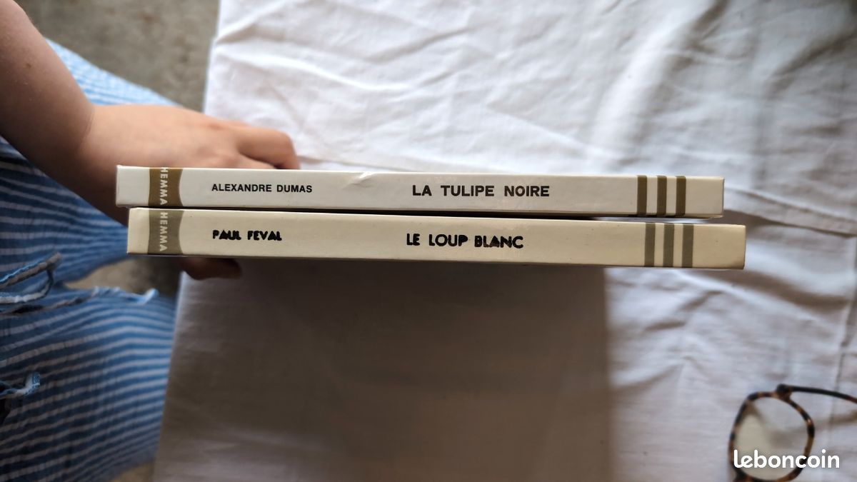 Lot de 2 livres - Collection Hemma jeunesse (image 3)