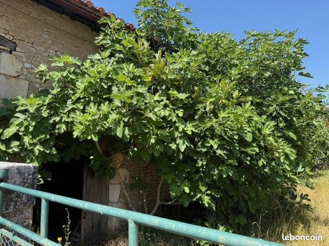 Propriété 1 pièce 127 m² (image 8)