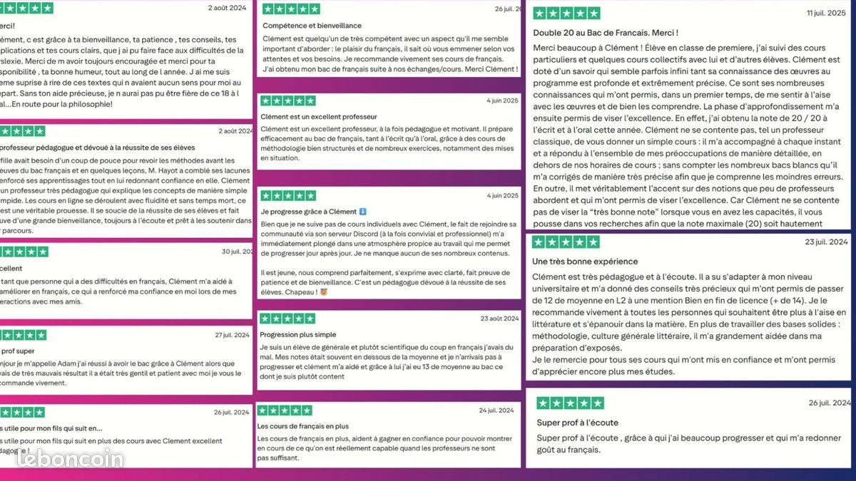 Professeur particulier français BAC+5, soutien scolaire lycée/prépa (image 2)