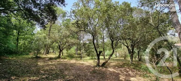 Annonce vente Terrain saint-maximin-la-sainte-baume