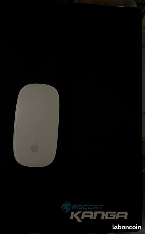 Tapis de souris Gaming ROCCAT 85x33cm (image 2)