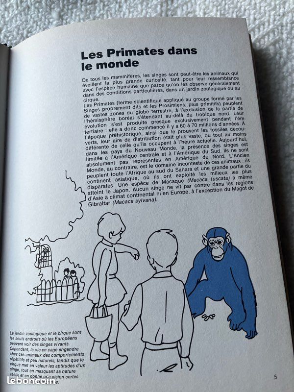 Livre Les Singes, Larousse (image 5)