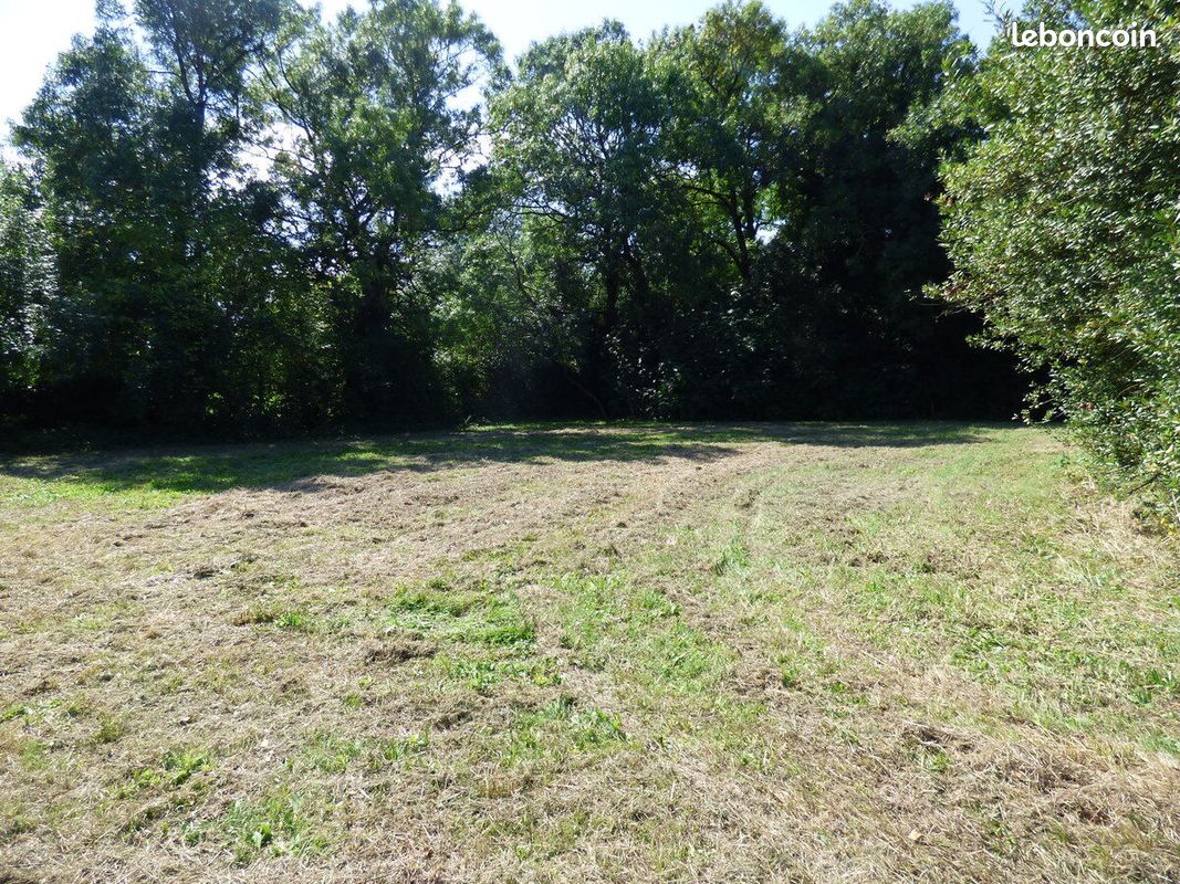 Terrain 1450 m² · à Montendre · 1 450 m² · 21 000 €