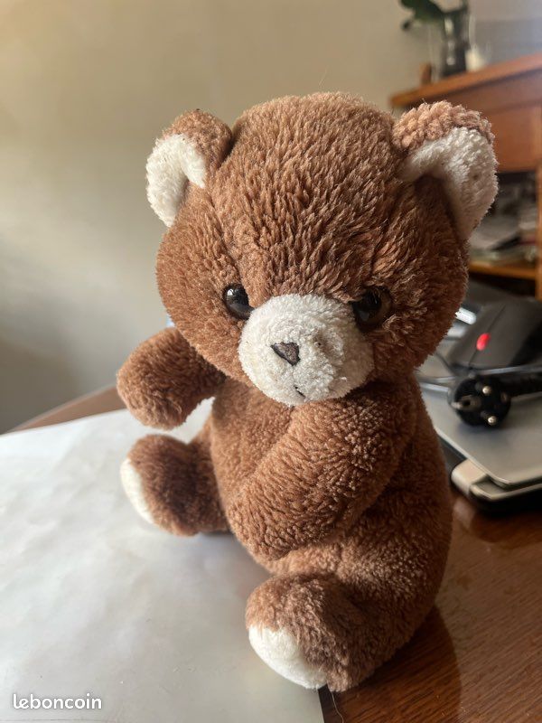 Petit ours brun (image 2)