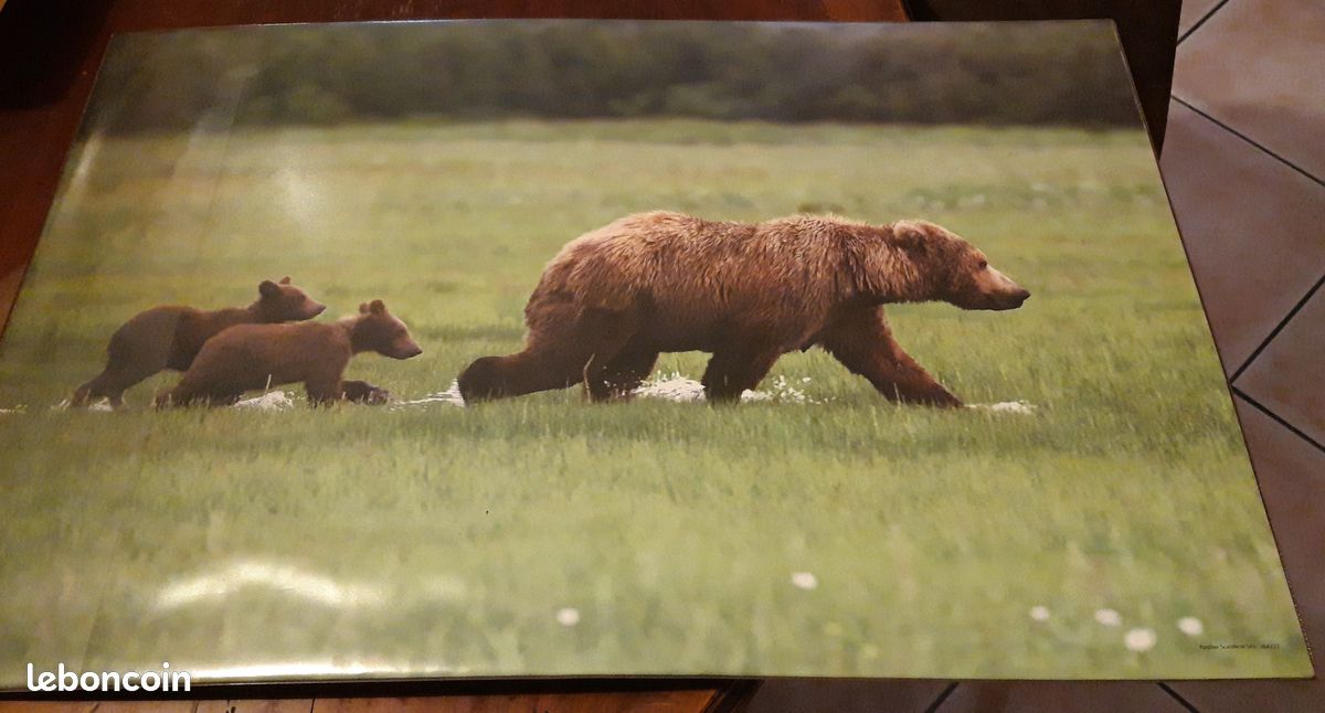 Tapis de bureau - Motif Ours (image 1)