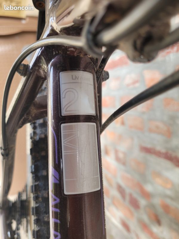 VTT giant Tempt (image 17)