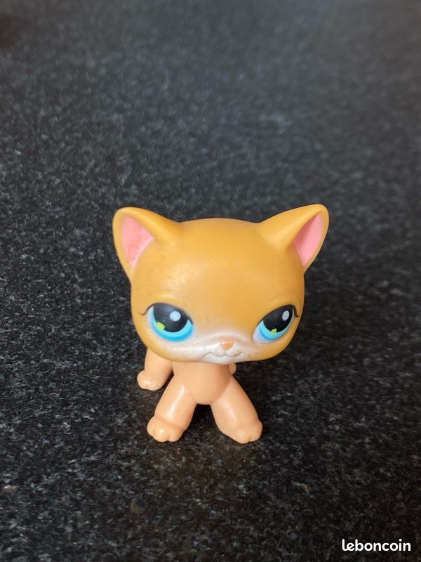 Figurine Littlest Pet Shop – Chat Européen 1643 – Hasbro – Authentique