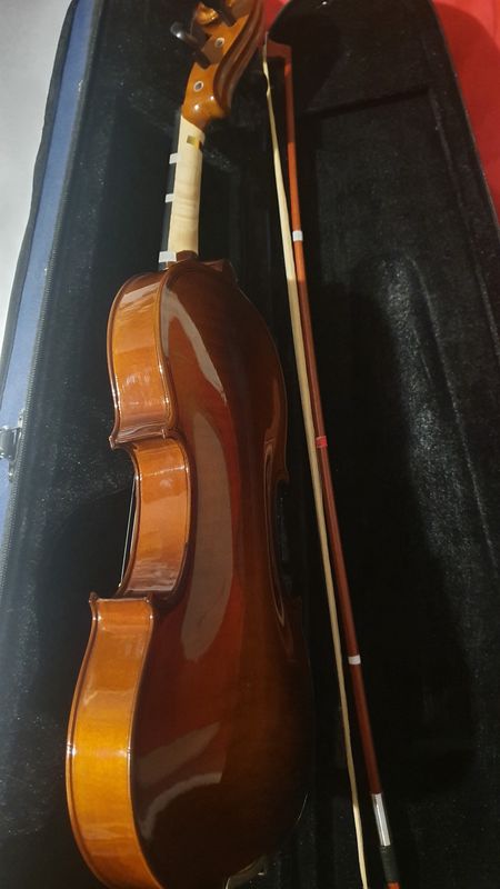 Instruments à cordes Aileen Violon 4-4 Taille pour Débutant
