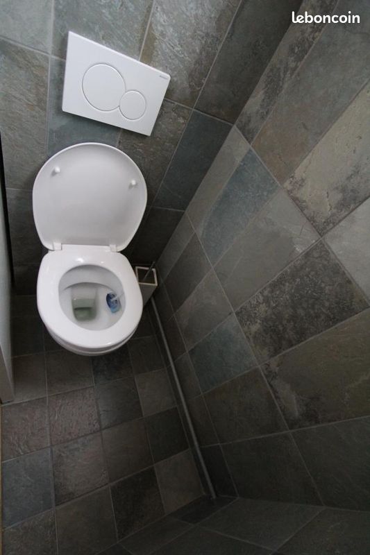 Appartement 2 pièces 50 m² · à Lyon · 50 m² · 700 €