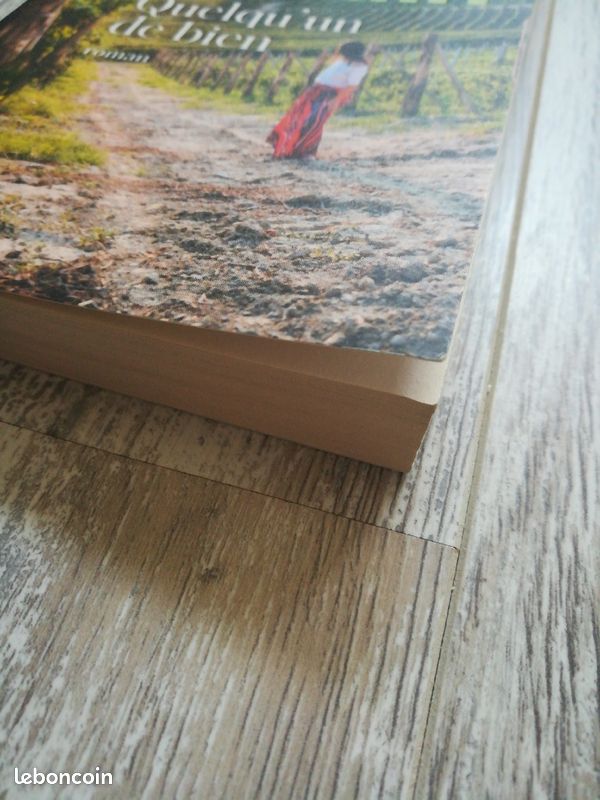 Livre roman Quelqu'un de bien de Françoise Bourdin (image 2)