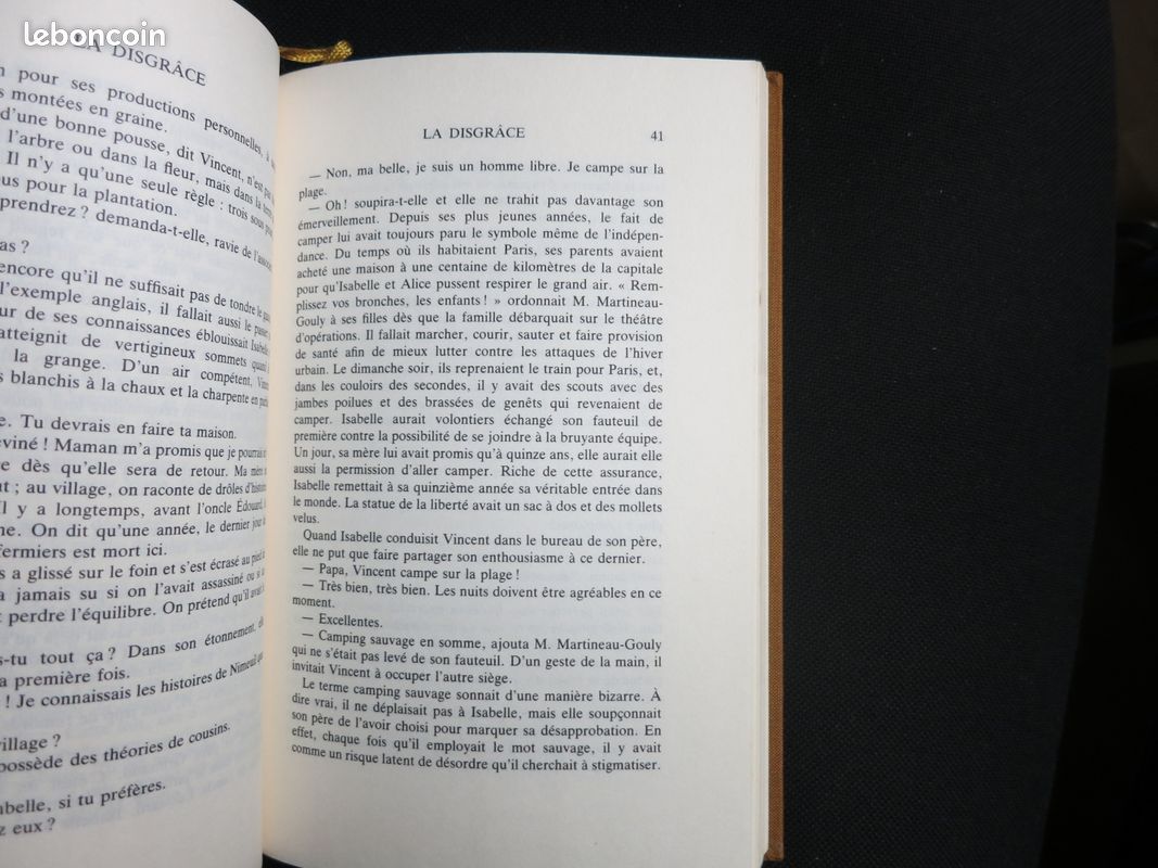 La Disgrâce - nicole avril (image 5)