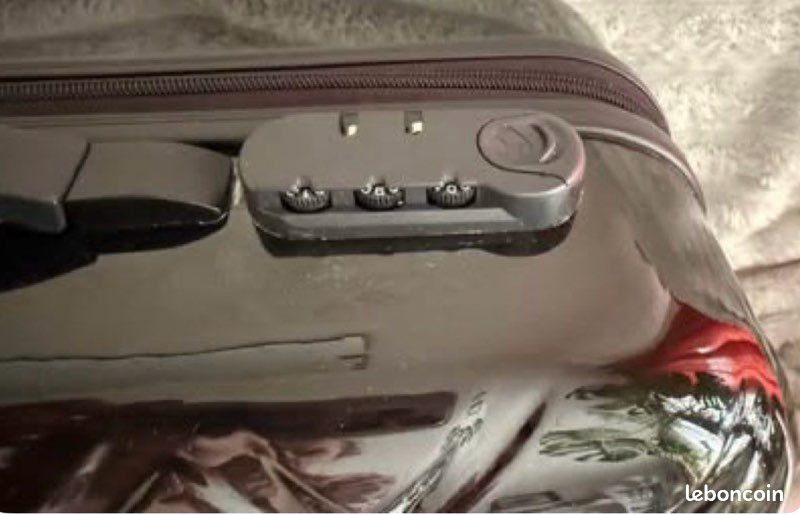 Ensemble Valise + Vanity Incidence I’m so chic (image 4)