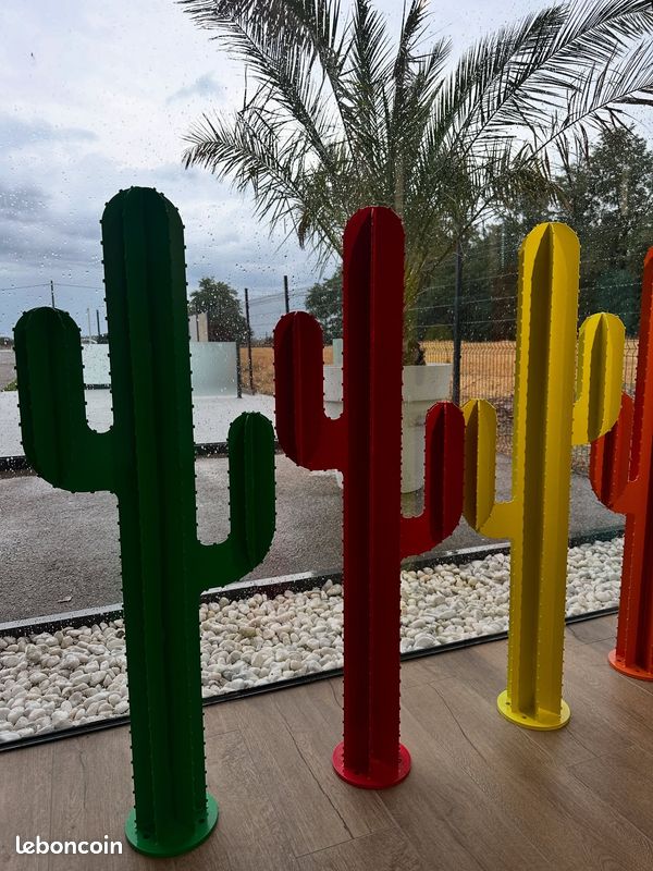Cactus jardin décoration (image 2)