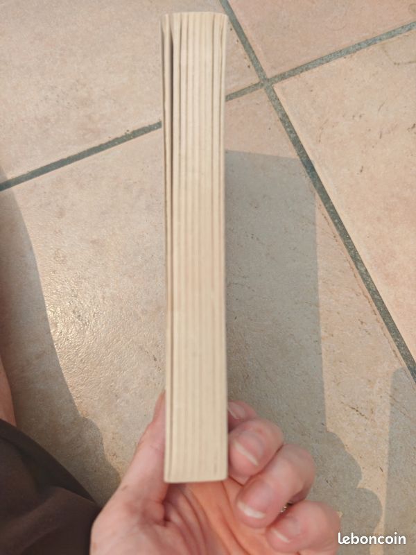 Livre l'homme à l'envers (image 4)