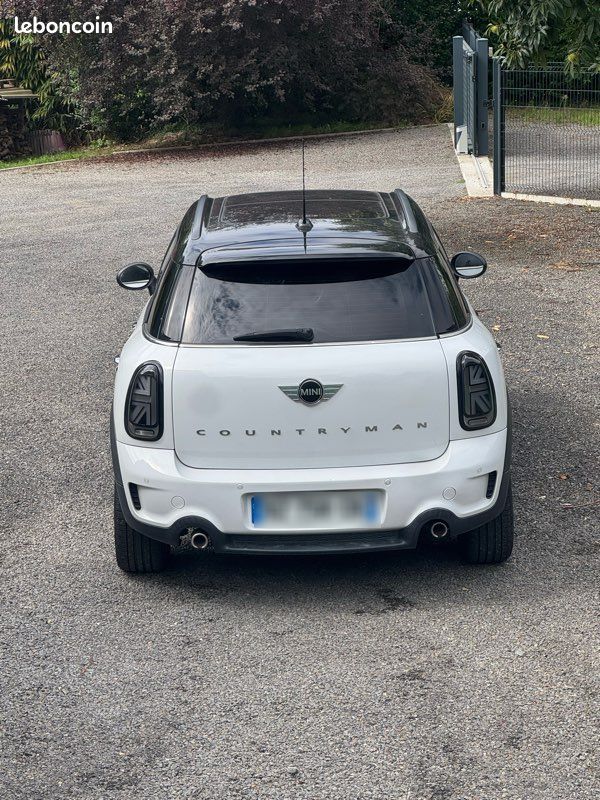 Mini Country Man (image 3)