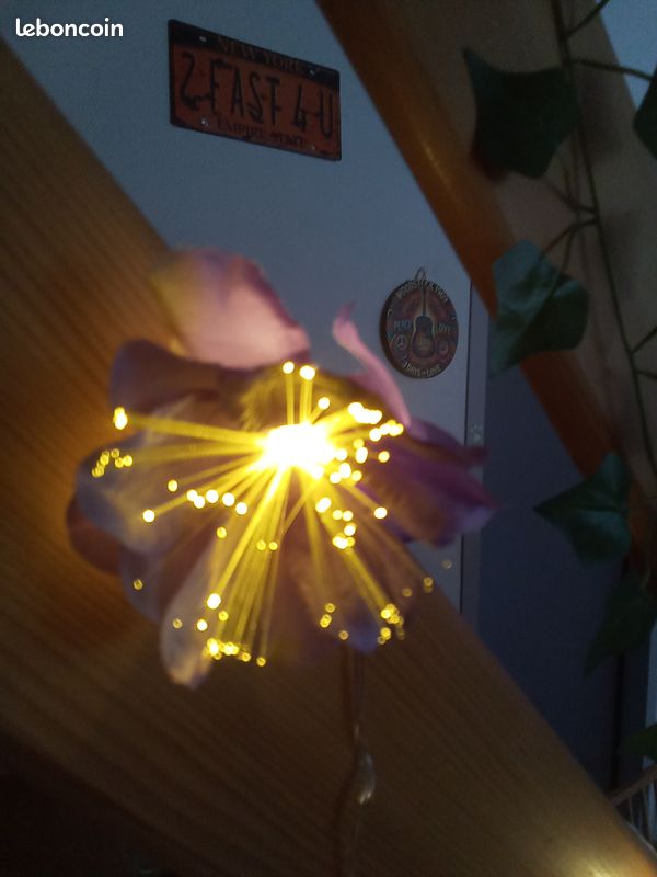 Guirlande lumineuse fleurs (image 2)