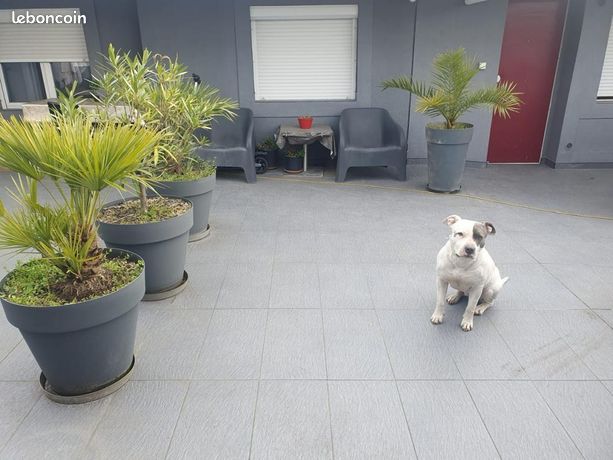 Studio 1 pièce 15 m²
