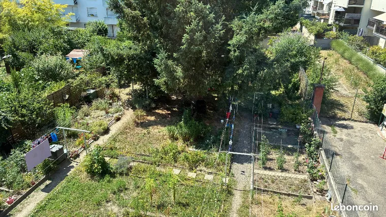 Annonce location Appartement colmar