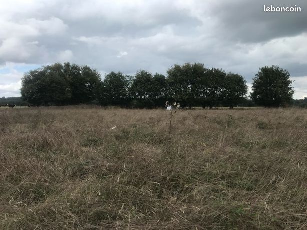 Parcelle agricole 4 075 m² – Pointis-Inard