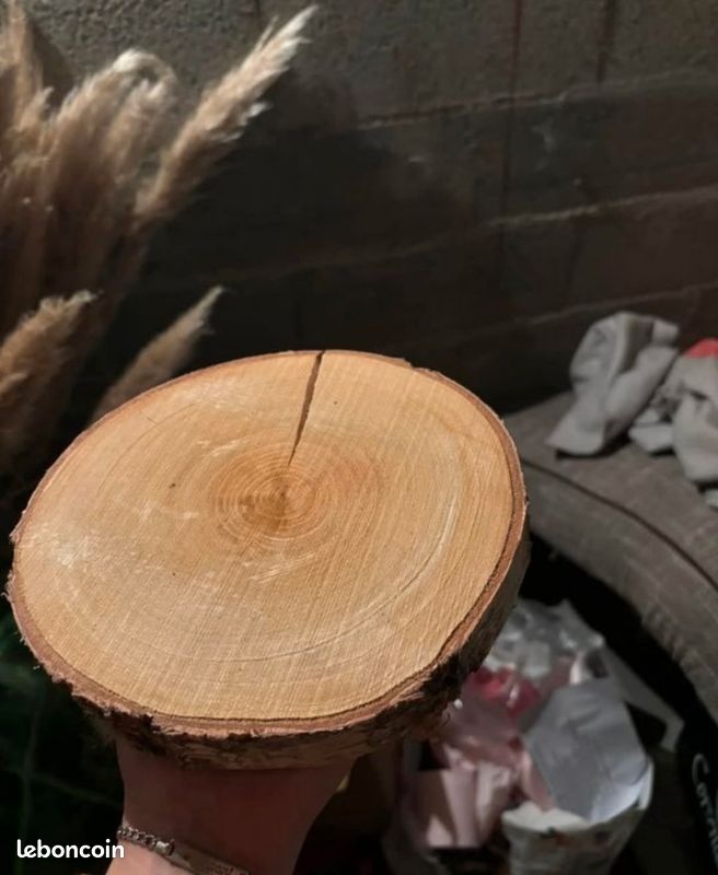 ZIU dalles de pin rondes Tranches de bois naturel rondins de pin rondins bricolage artisanat