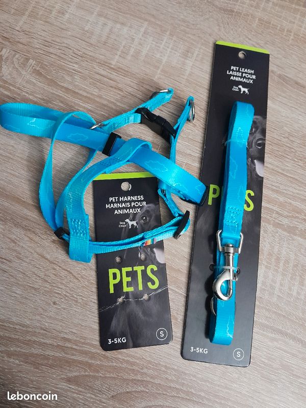 Vend harnais pour animaux plus une laisse neuf jamais servi 3 5 kg (image 1)