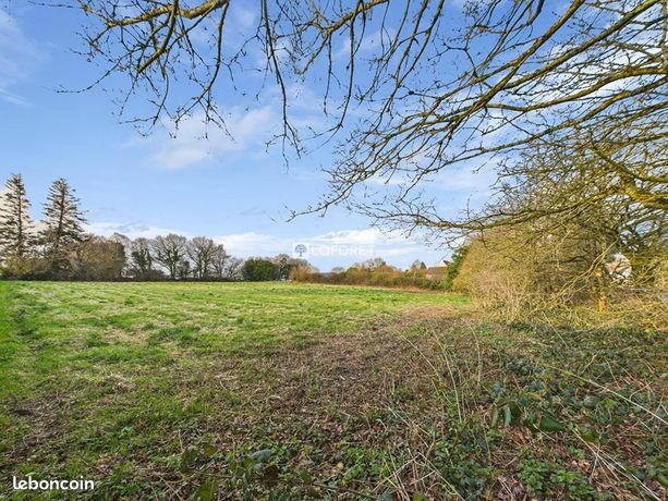 Terrain 2206 m² LAZ