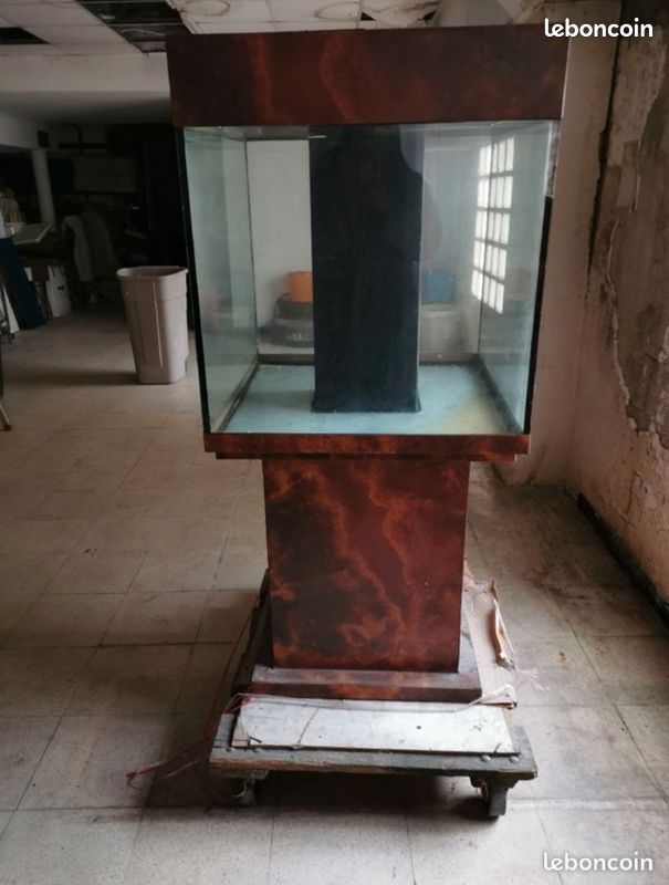 2 beaux aquariums (image 2)