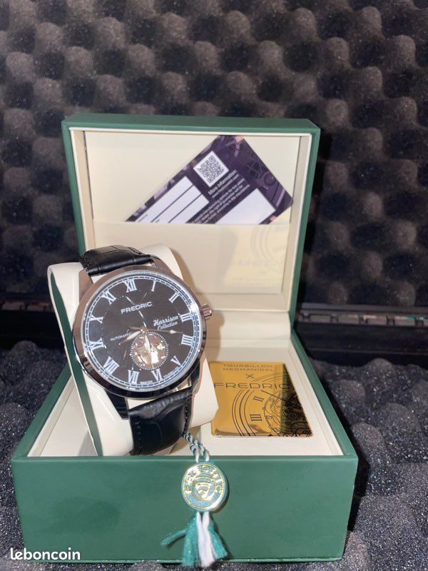 ⚠️montre d’investissement automatic Fredric calº8619 (image 2)