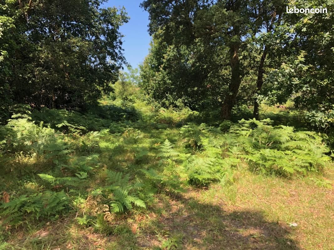 Terrain 500 m² Labenne · 270 000 €