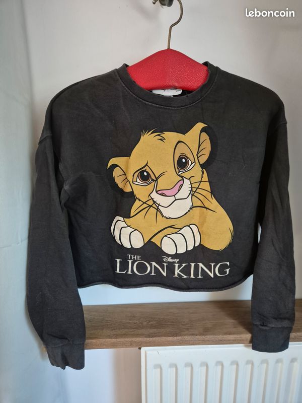 Roi Lion Pull Simba Jennyfer Shirt Pull Simba Femme Tee Shirt Le