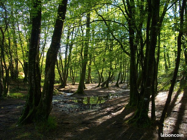 Terrain 1635 m² HERICY