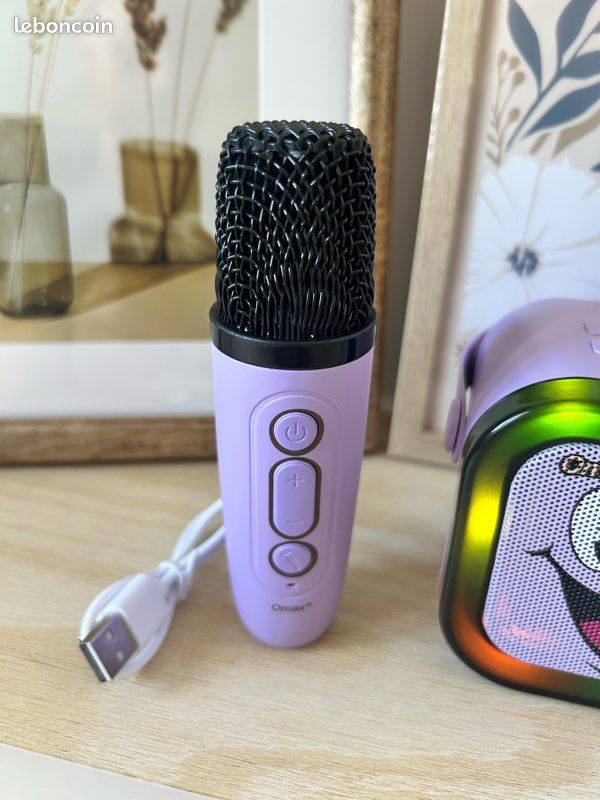 🎤 Enceinte Karaoké portable + 2 micros – Neuve 💜 (image 4)