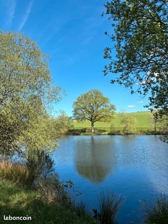 Etang