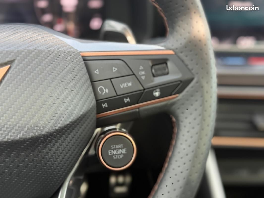 Cupra Formentor 2.0 TDI 150 ch DSG7 V (image 20)