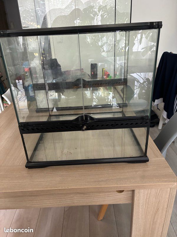 Terrarium (image 1)