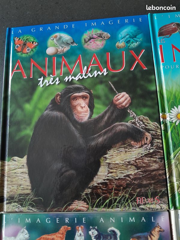 LOT de 4 grandes imagerie Fleurus enfant 6-10 ans (FA57) (image 2)