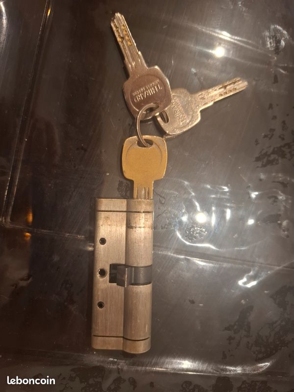 Serrure de porte d entrée securisee (image 2)