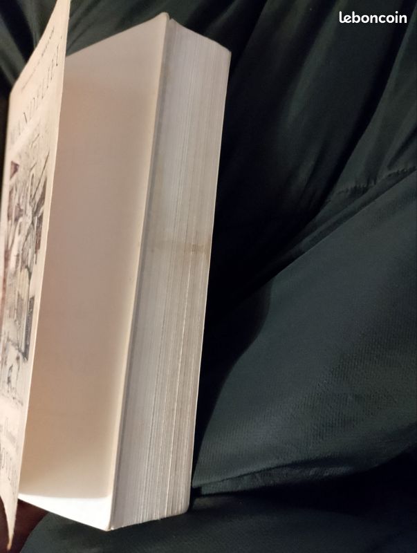 Mandelieu à travers l'histoire de la Provence /Emmanuelle De Marande (image 3)