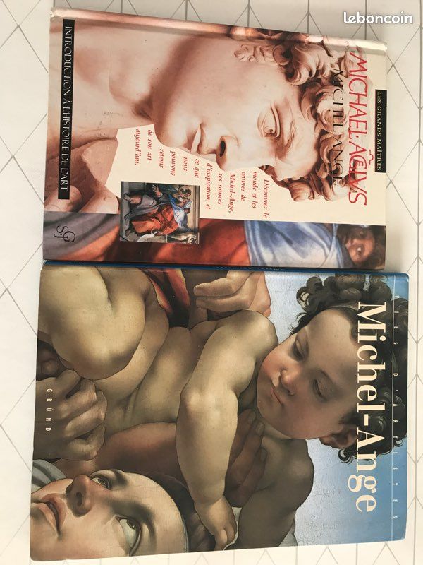 Livres Michel-Ange (image 3)